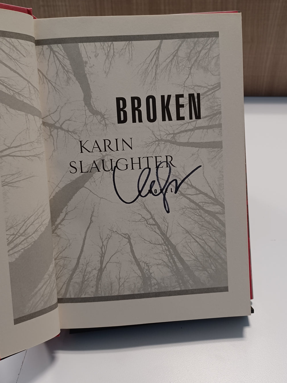 Broken
 by Karen Slaughter