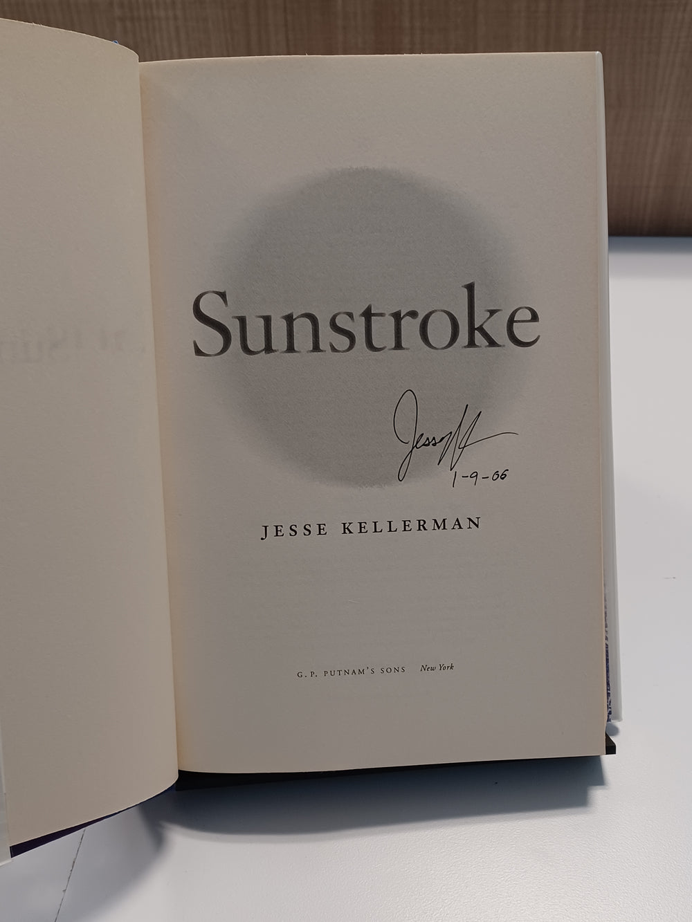 Sunstroke
 by Jesse Kellerman