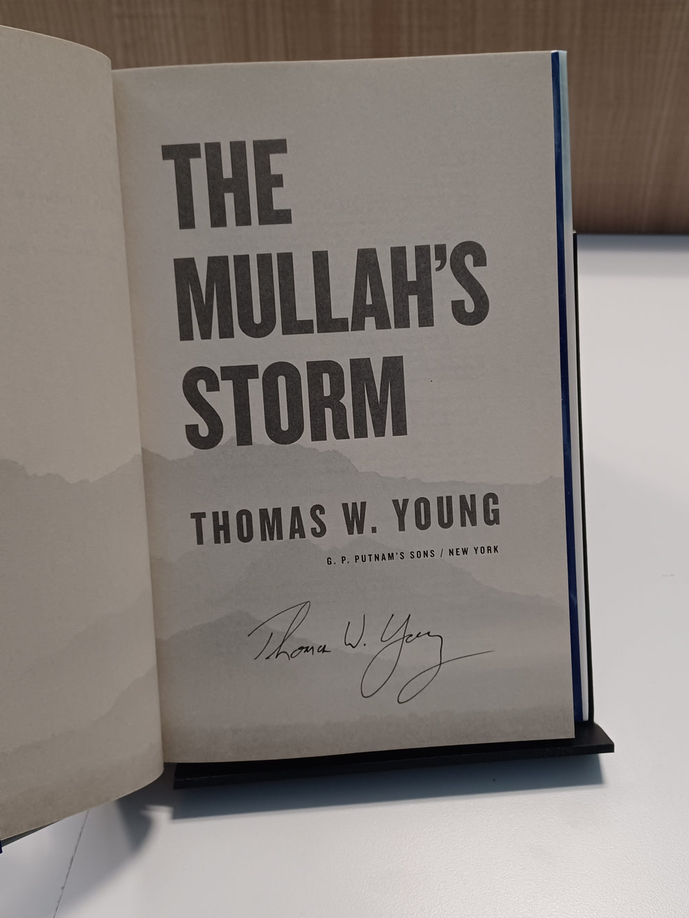 The Mullah's Storm by Thomas W. Young